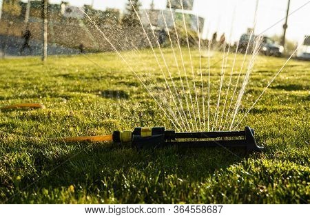 Lawn Sprinkler Spraying Water Over Green Grass. Modern Device Of Irrigation Garden Grass. Irrigation