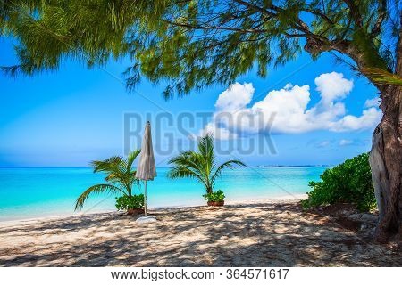 Small palm trees in pots and a close white parasol on an empty Seven Mile Beach during confinement, Cayman Islands