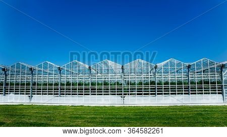 Modern Glass Greenhouses Against The Blue Sky.