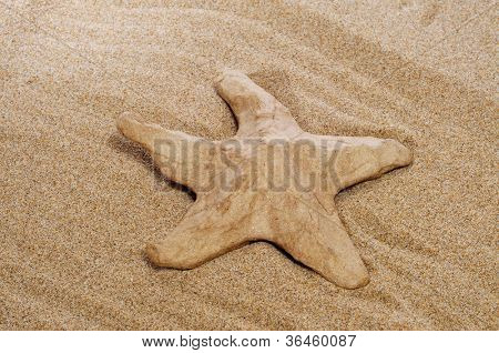Closeup von eine Pappmaché Seastar auf dem sand