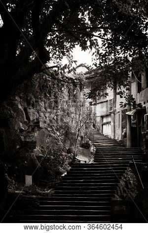 Stairs and tree in Xiahao Old street in Chongqing, China.