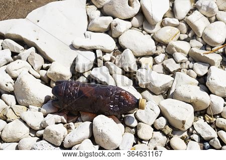 Dark Plastic Bottle On The Rocky Shore Of The River, Sea. Concept Of Pollution Of Rivers, Seas And O