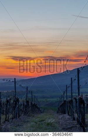 Sunrise in Palava with Devicky ruins, Southern Moravia, Czech Republic