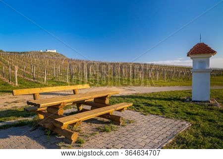 Spring landscape near Pavlov with Devicky ruins in Palava, Southern Moravia, Czech Republic