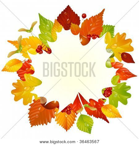 Marco otoño Vector con hojas de otoño, castaña, bellota y ashberry