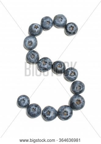 Alphabet Letter S Arranged From Northern Highbush Blueberry Isolated
