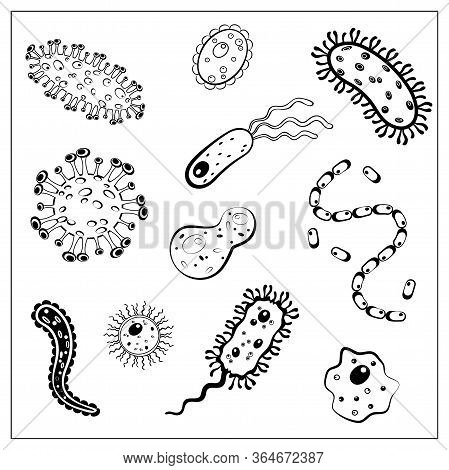 Set Of Vector Illustration With Outlines Of Different Bacteria, Virus, Cells, Germs Or Epidemic Baci