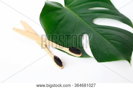 The Concept Of Zero Waste. Bamboo Toothbrush On A Manstera Leaf