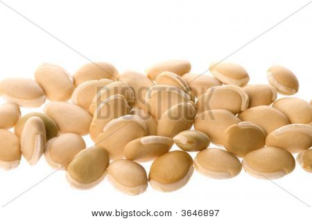 Lablab fagioli