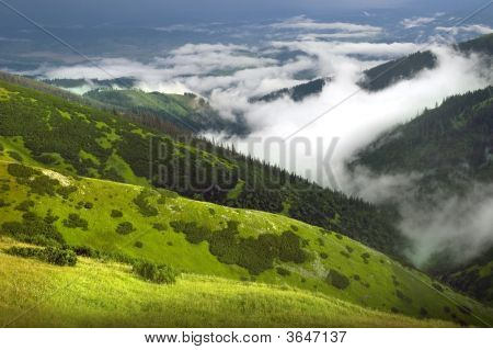 Natureza verde