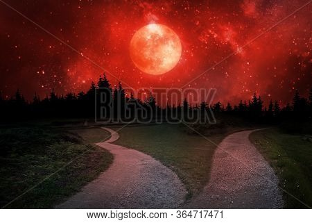 Fork In The Road At Night, Lost In The Forest And The Halloween Scary Concept