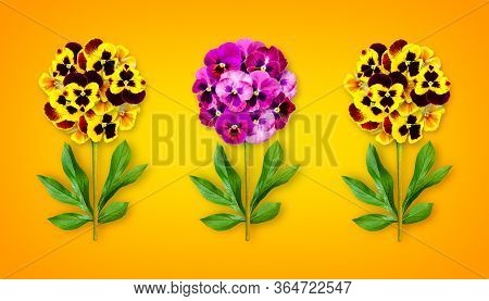 Three Offbeat Flowers On A Sunny Orange Background. Composition Of Multi-colored Pansies With Peony 