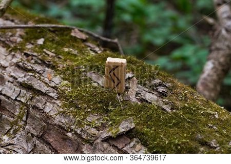 Top View Of One Wooden Rune That Stands On A Tree Among The Moss. Symbol Of The Runic Circle, Alphab
