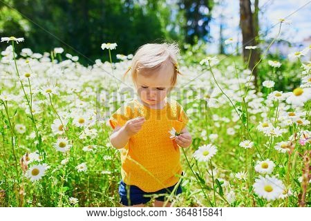 Adorable Baby Girl Amidst Green Grass And Beauitiful Daisies On A Summer Day. Little Child Having Fu