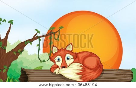 Abbildung von einem Fuchs auf Holz im Dschungel