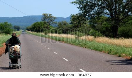 どこに旅行に行く.