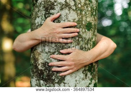 Environmentalist Tree Hugger Is Hugging Wood Trunk In Forest, Female Arms Around The Tree, Selective