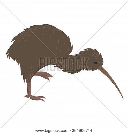 Kiwi Bird Isolated On A White Background. Vector Image.