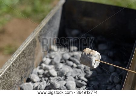 One Marshmallow Is Fried On Charcoal In A Barbecue In The Summer Outdoors