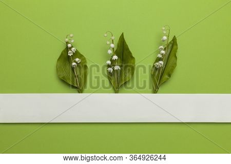 Lily Of The Valley Flower With Sticky Tape Isolated On Flat Lay Green Background. Minimal Spring Wed
