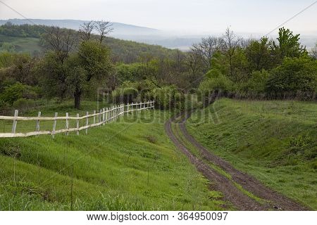 Summer Rural Landscape. Beautiful Colorful Hills Covered Forest In Fog. Ukrainian Nature. Surroundin