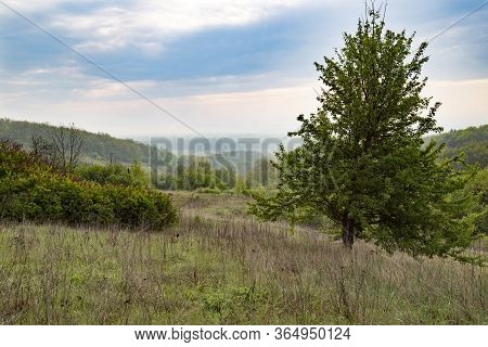 Summer Rural Landscape. Beautiful Colorful Hills Covered Forest In Fog. Ukrainian Nature. Surroundin