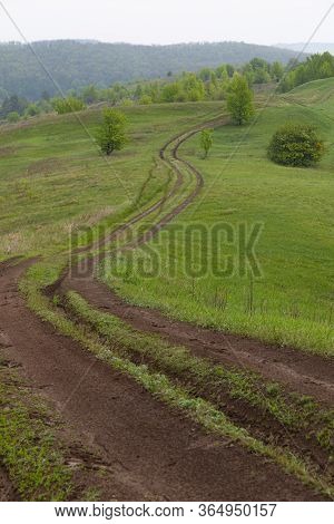 Beautiful Colorful Hills Covered Forest In Fog. Winding Dirt Road Winds Through The Green Hills. Ukr