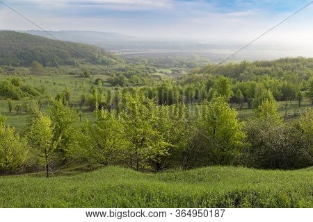 Summer Rural Landscape. Beautiful Colorful Hills Covered Forest In Fog. Ukrainian Nature. Surroundin