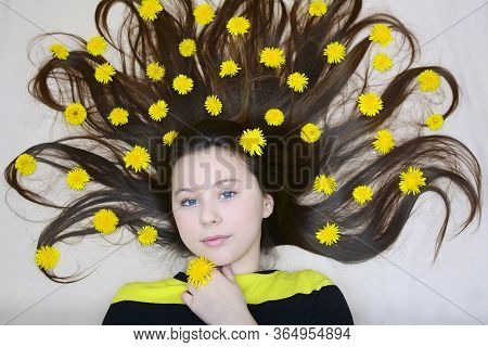 A Young Girl Lies With Dandelion Flowers In Her Loose Long Hair. View From Above. Portrait
