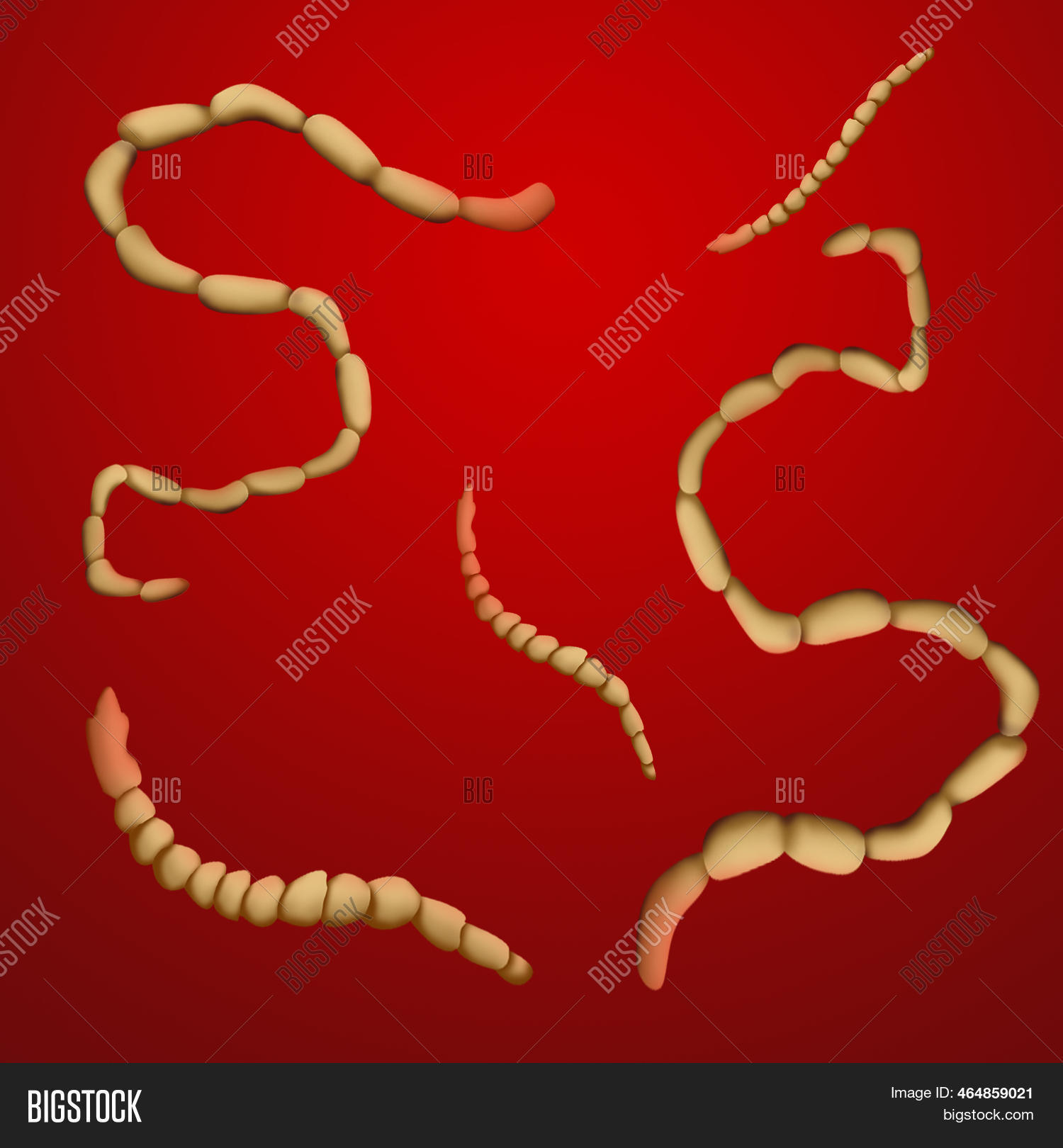 Illustration Helminths Image & Photo (Free Trial) | Bigstock