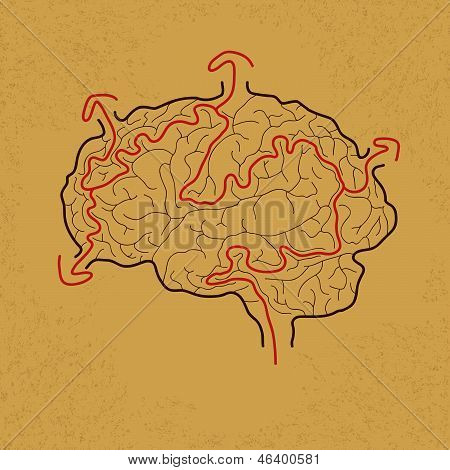 brain maze with correct path