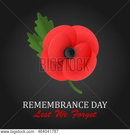 The Remembrance Poppy - Poppy Appeal. Poppy Flower On Black Background. Decorative Flower For Rememb