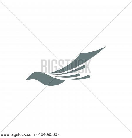 Magpie Logo Icon Illustration Design