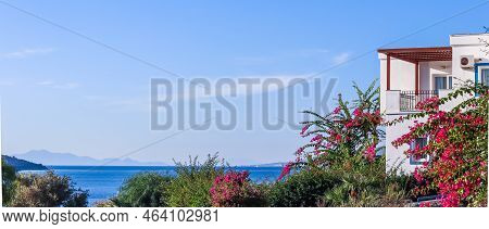 Traditional Summer House On The Aegean Sea Coast In Bodrum, Turkey. Pink Bougainvillea Flowers. Summ