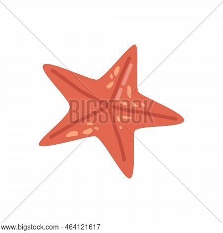 Starfish Underwater Creature Living In Ocean Or Sea. Marine Echinoderm With Five Radiating Arms. Pre