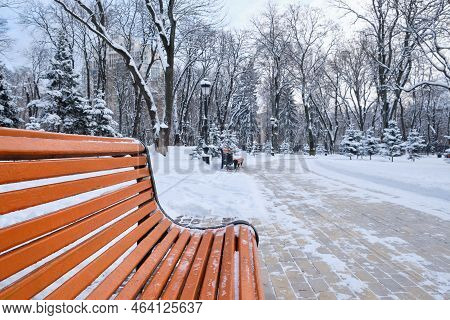 Snow Covered Bench In A Park