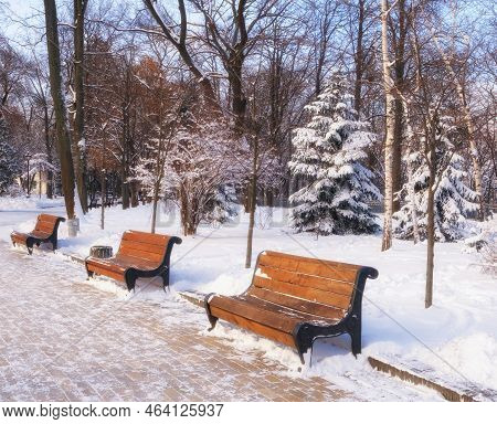 Orange Bench In The Park In The Snow In Winter