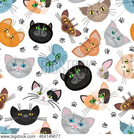 Cat Face Vector Background With Cat Paws. Cats Muzzle And Trail Paw Of Cats. Vector Illustration