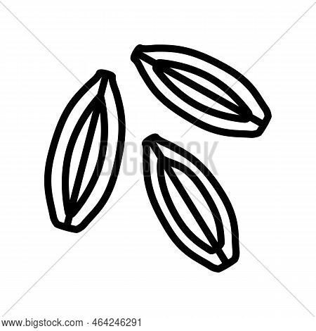 Barley Grain Unpeeled Line Icon Vector. Barley Grain Unpeeled Sign. Isolated Contour Symbol Black Il
