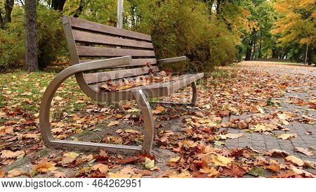 Empty Bench In Autumn In The Park, Covered With Leaves