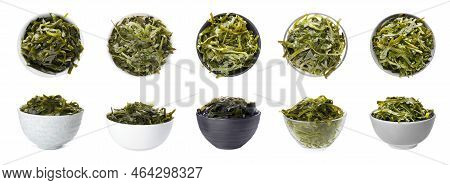 Set With Fresh Laminaria (kelp) Seaweed On White Background. Banner Design