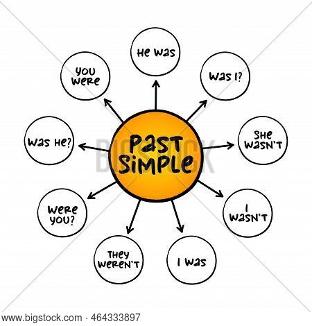 Past Simple Tense - Verb 
