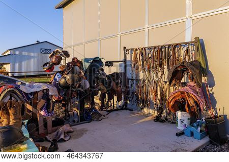Kits Of Leather Bridles And Bats Hang On The Walls Of The Stable.
