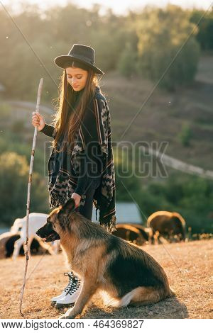 Female Shepherd With A Dog Grazes A Flock On The Lawn