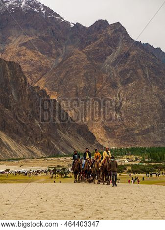 Hunder Is A Village In Leh District Of Ladakh, India Famous For Sand Dunes, Bactrian Camels.