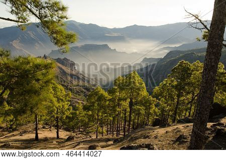 Integral Natural Reserve Of Inagua, Mesa Del Junquillo And Mesa De Acusa. The Nublo Rural Park. Gran