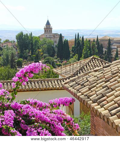 Panorama Of Alhambra