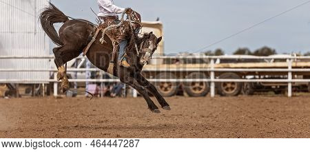 Cowboy Riding A Bucking Saddle Bronc At A Country Rodeo Australia