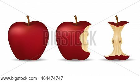 Realistic Bitten Apple. Red Apples Whole Bite Stem Core Fruits Isolated On White Background, Mela Ea
