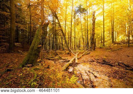 Mala Fatra Rozsutec Mountains Landscape